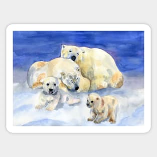 White bears Sticker